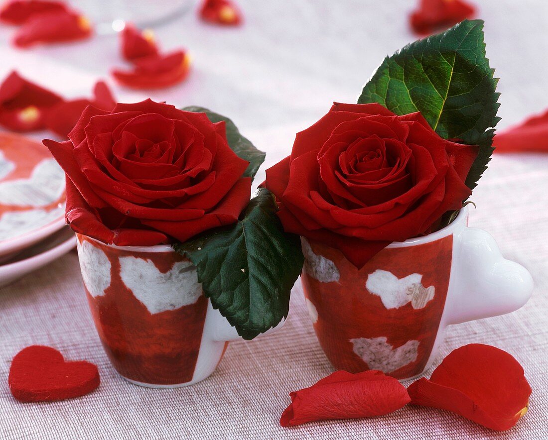 Red roses in two espresso cups with heart design