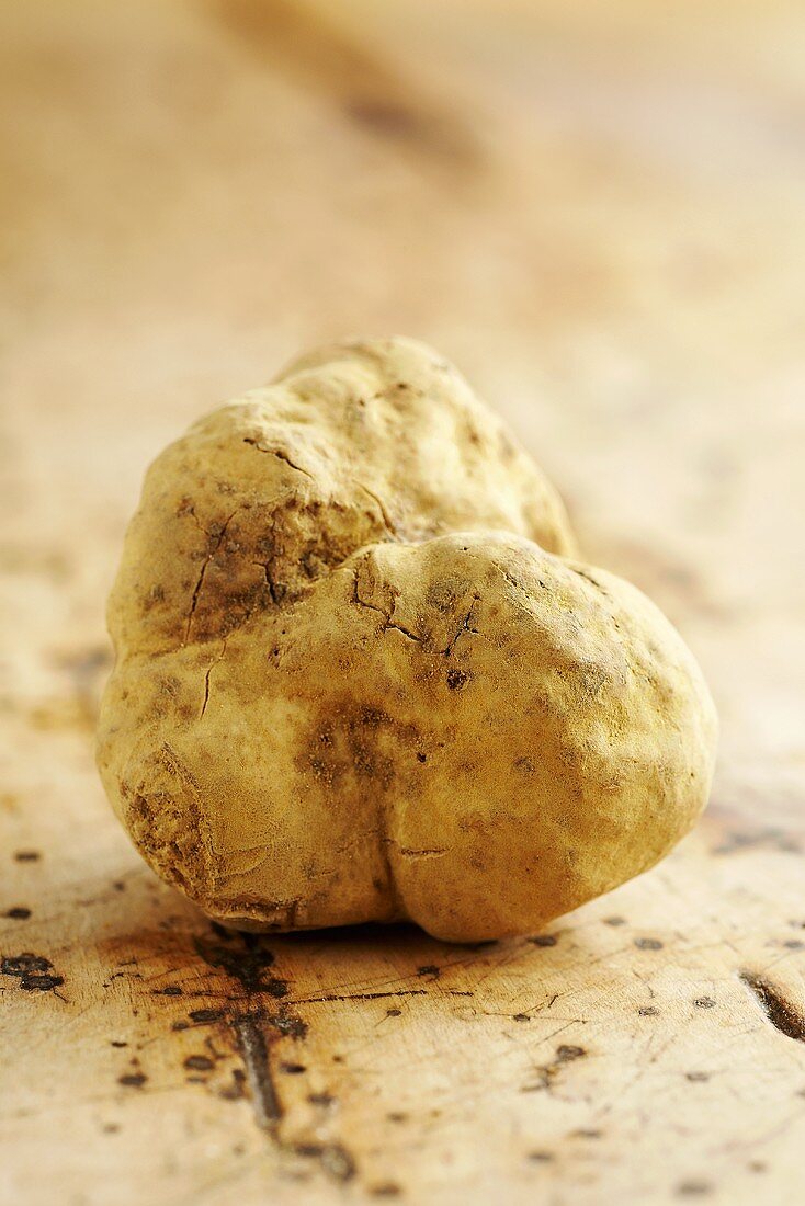 A white Alba truffle on a wooden background