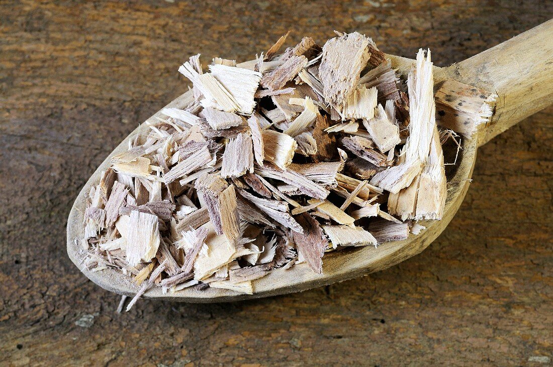 Soap bark (Panama bark) on a wooden spoon