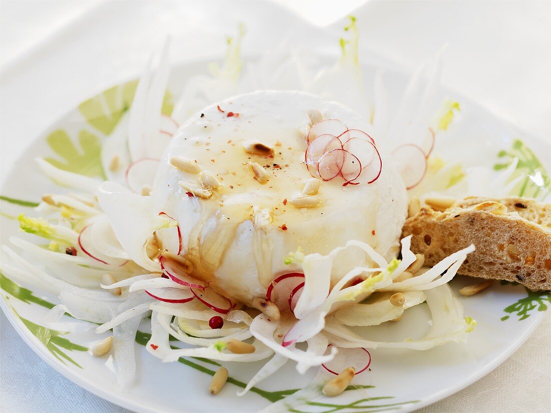 Fresh goat's cheese on fennel and radishes with honey