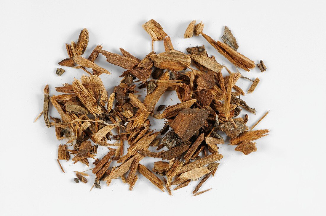 Peruvian bark (Cinchona) used to produce quinine