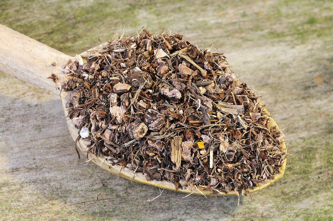 Getrocknete Nelkenwurz (Geum urbanum L.) auf einem Holzlöffel