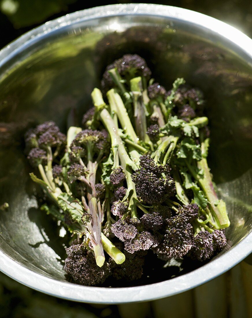 Purple sprouting broccoli in a metal bowl
