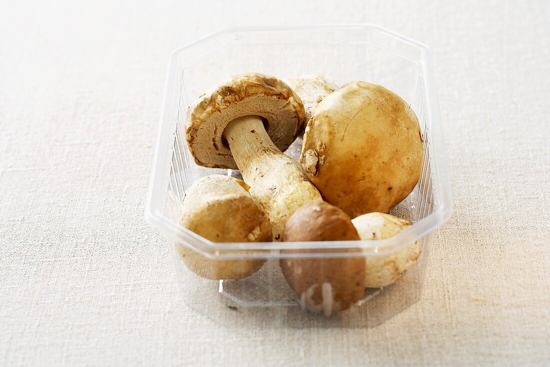 Fresh mushrooms in a plastic container