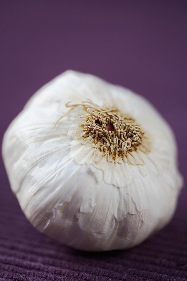 A garlic bulb