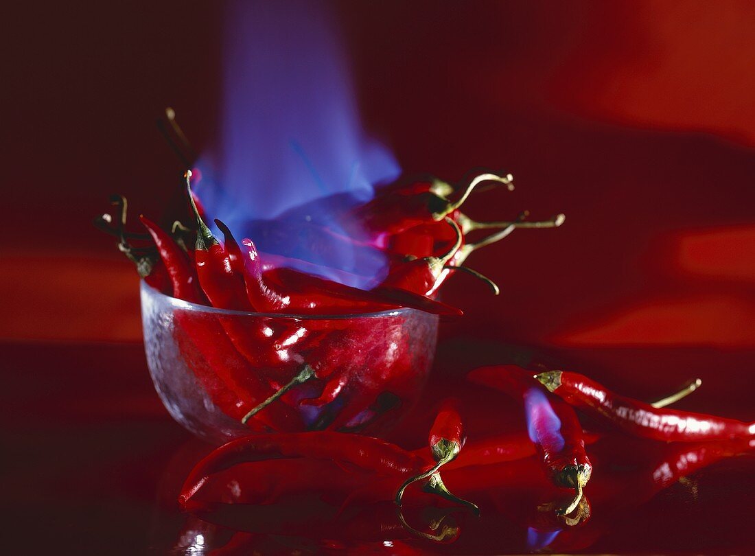 Brennende, rote Chilischote in und neben einer Glasschale