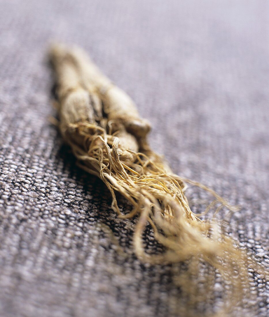 A dried root