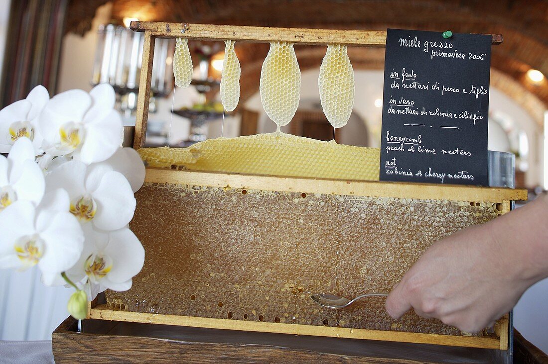 Fresh honey with honeycomb in a restaurant