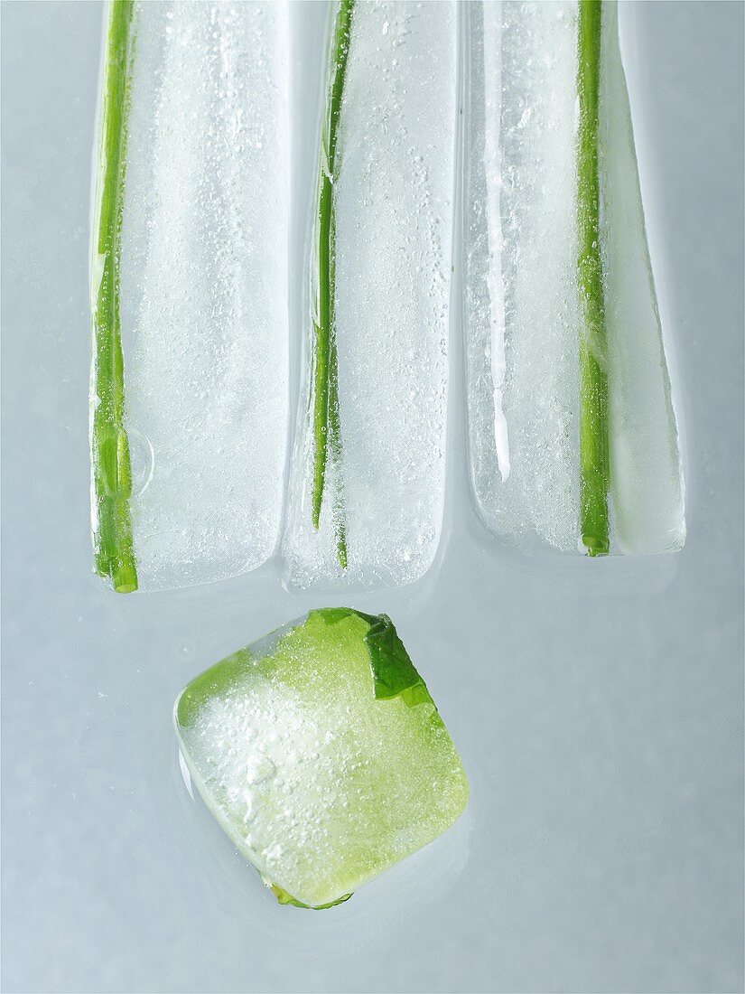 Herbs frozen in ice cubes