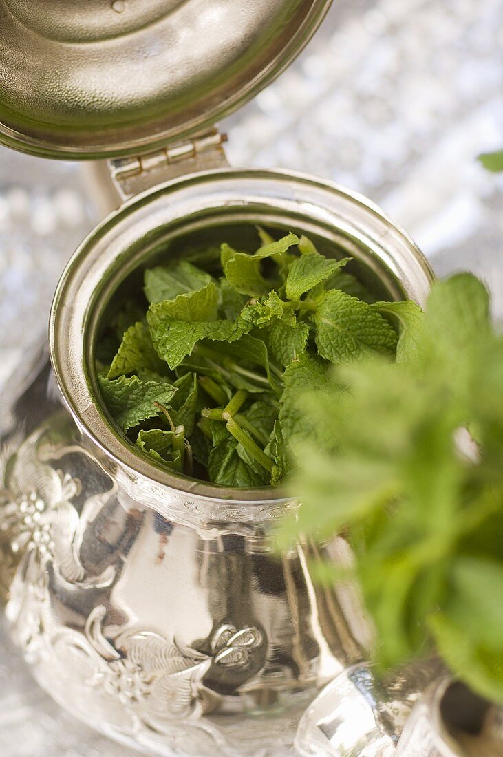 Mint tea in a silver teapot