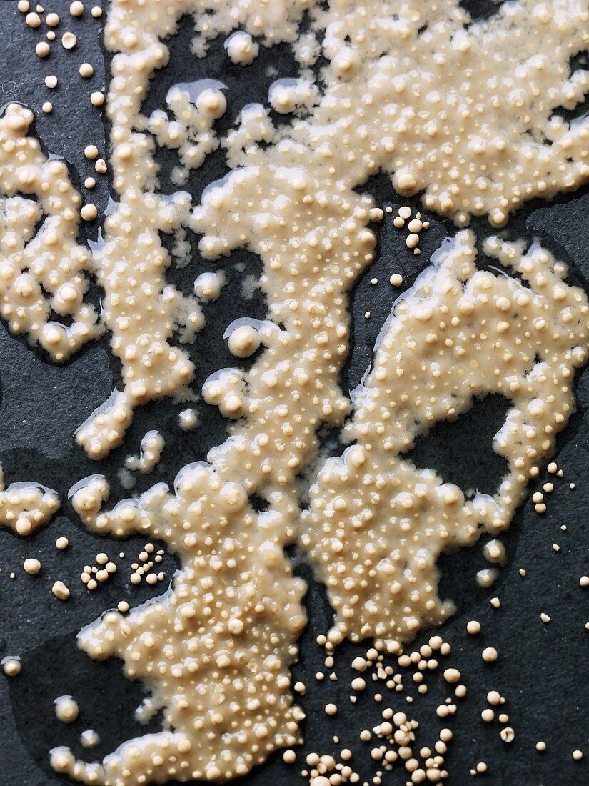 Dried yeast partially dissolved in water