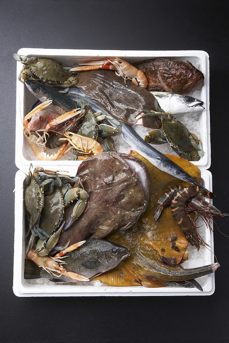 Assorted fish, seafood and shellfish