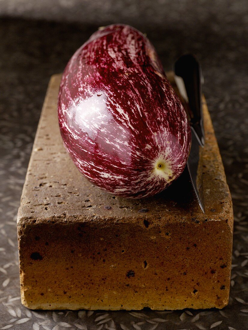 Purple and white streaked aubergine on a brick