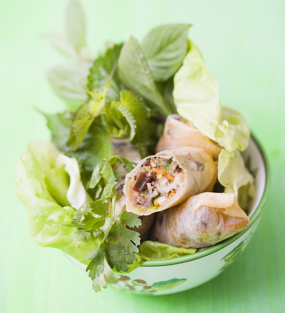 Spring rolls with mince and vegetable filling on salad