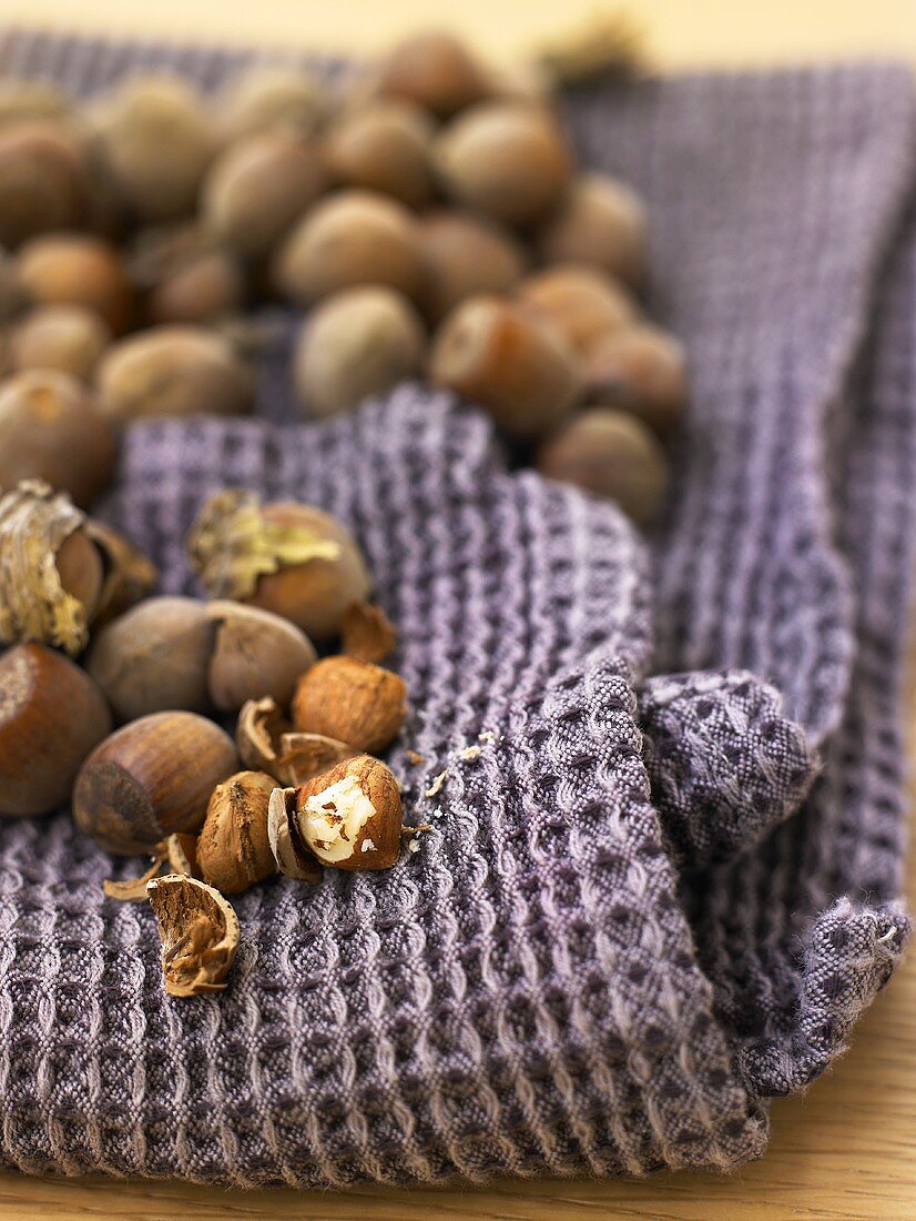 Hazelnuts, shelled and unshelled on a tea towel