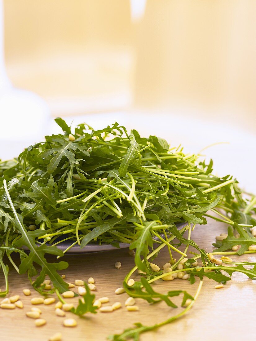 Rucola auf einem Teller mit Pinienkernen