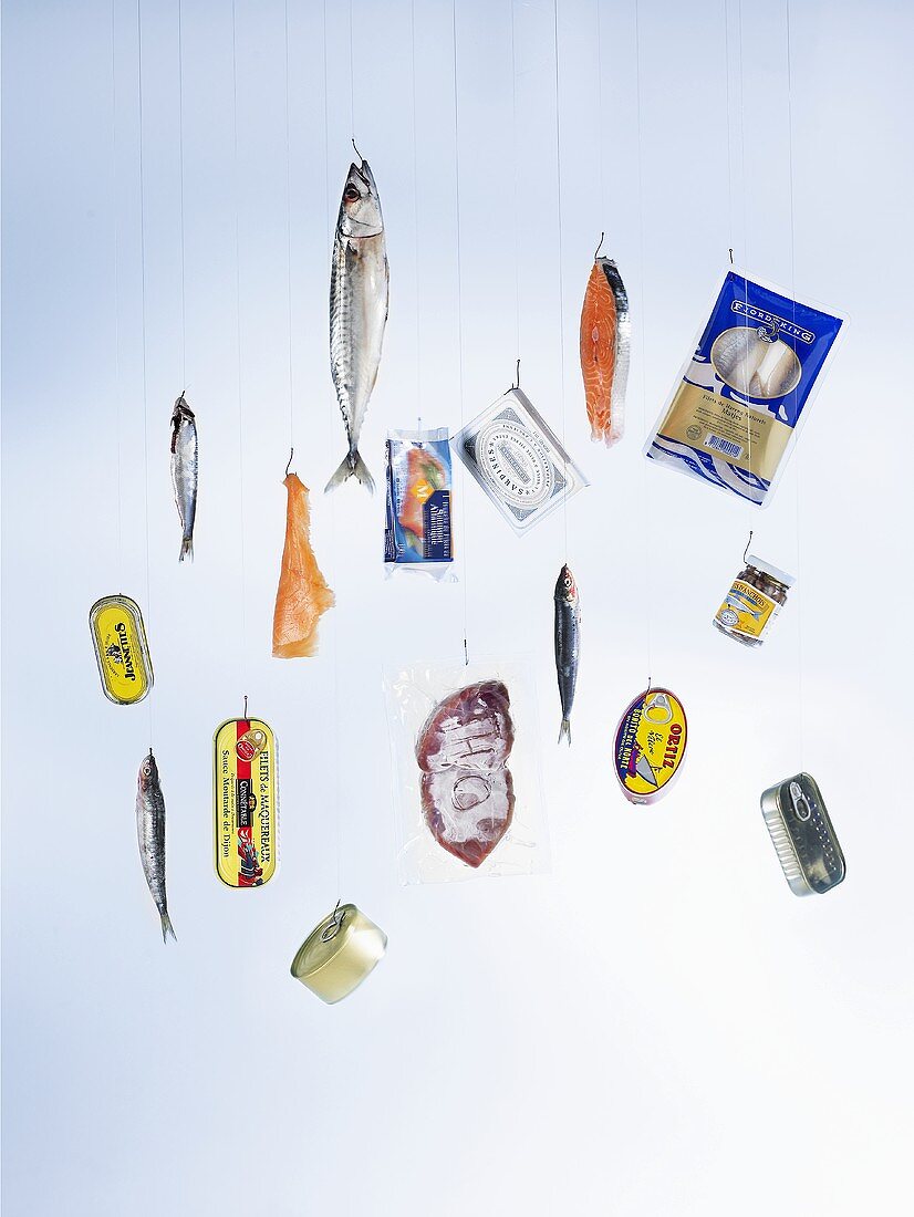 Fische und Fischprodukte hängen an Angelhaken