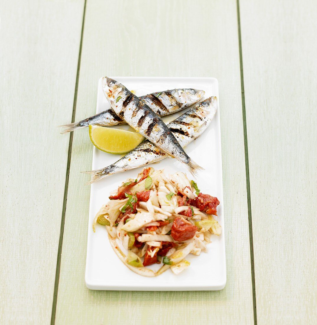 Grilled sardines with fennel and tomatoes