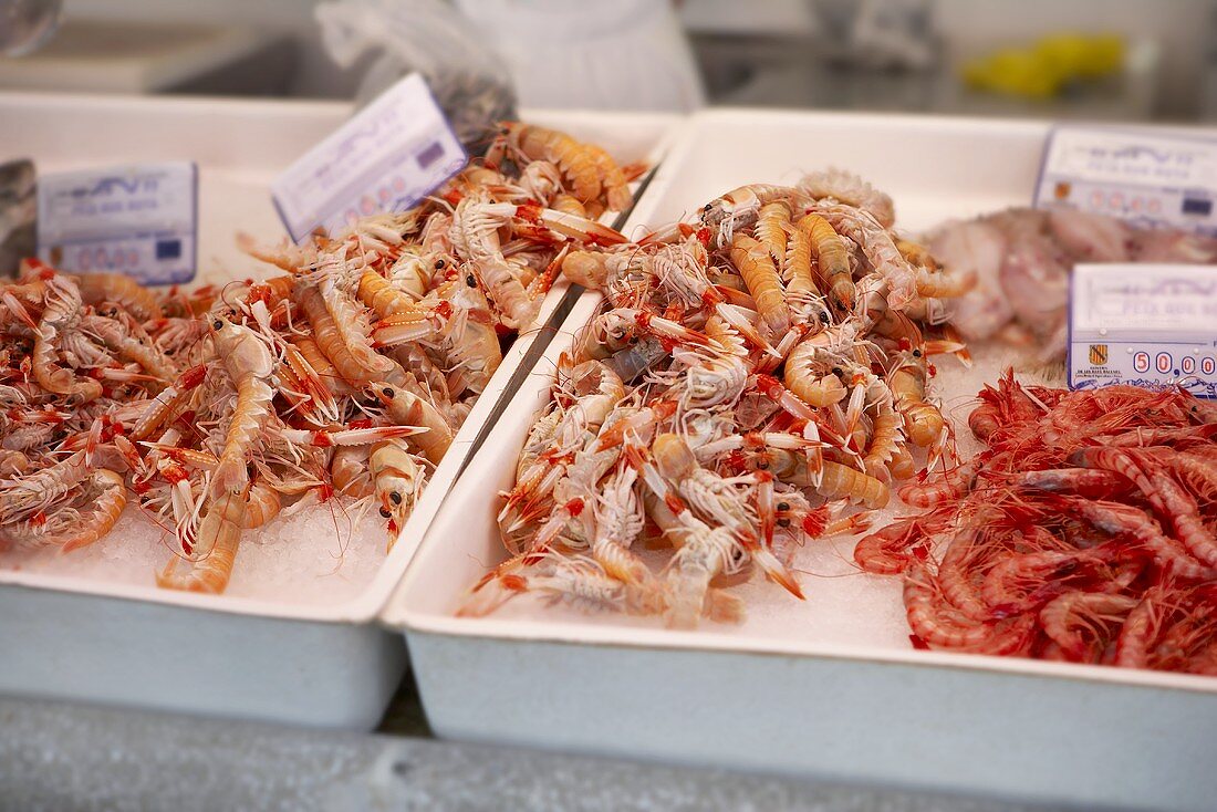 Prawns and langostinos on crushed ice at a fish market