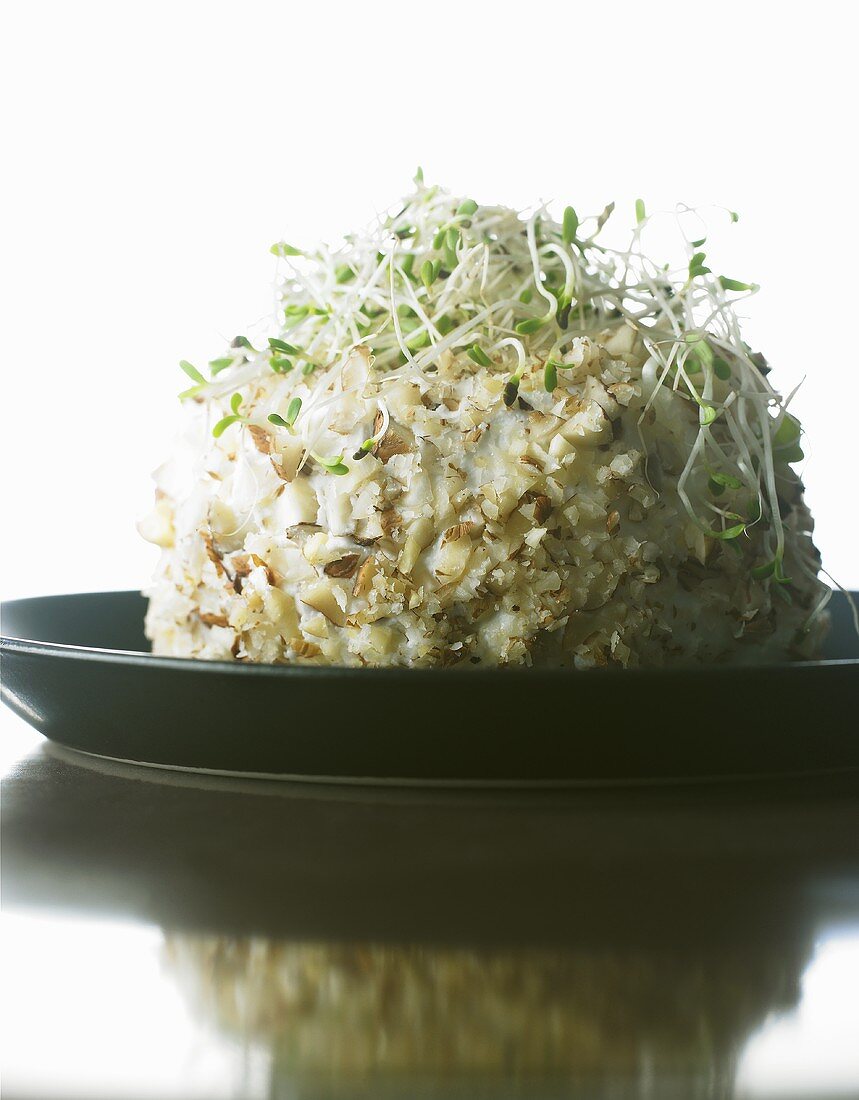 Ball of fresh goat cheese with hazelnuts & alfalfa sprouts