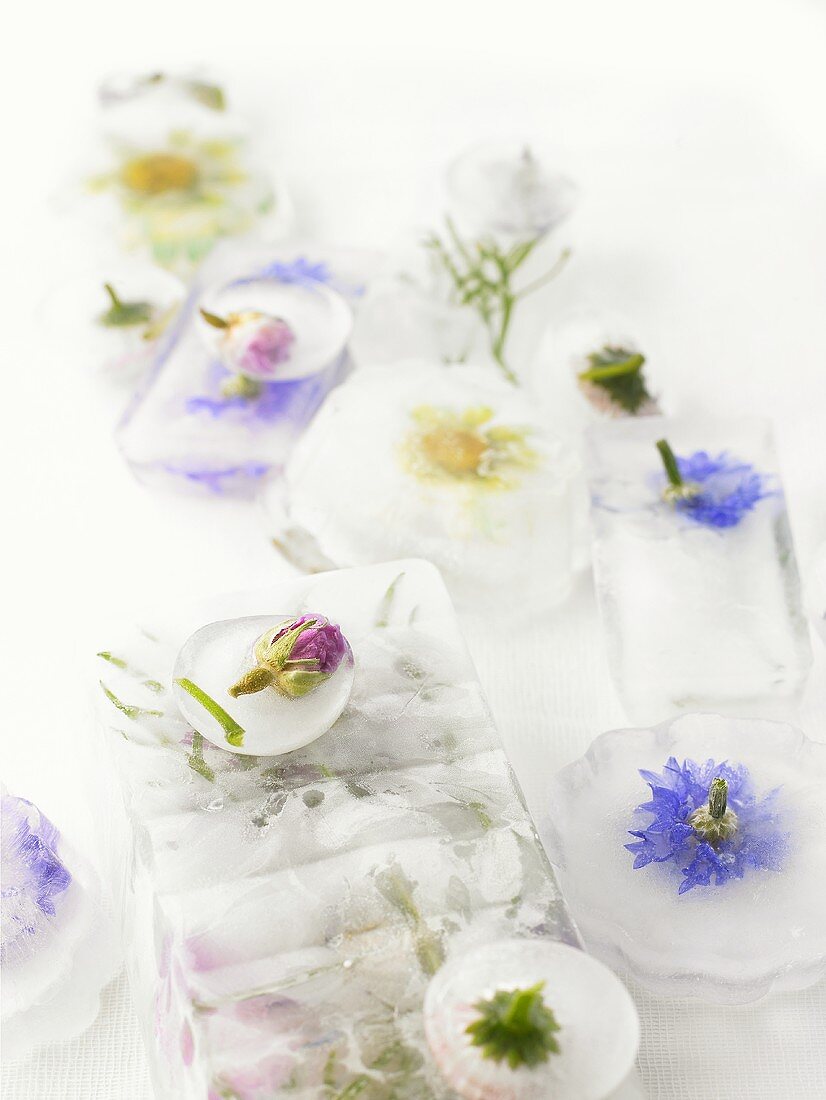 Various flowers frozen in ice
