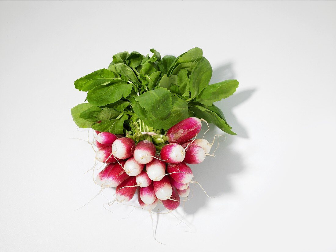 A bunch of radishes