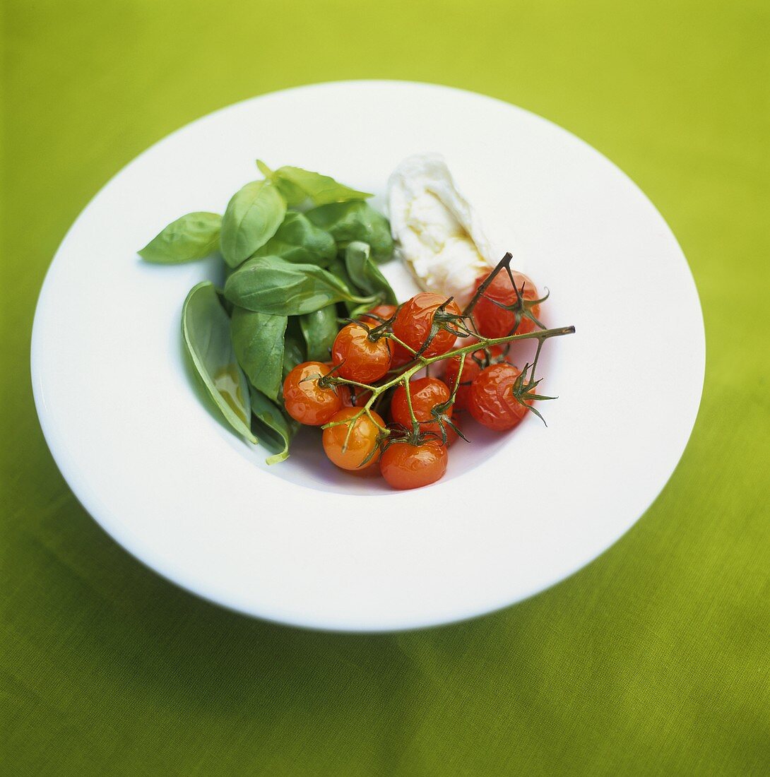 Roasted or fried tomatoes with mozzarella and basil