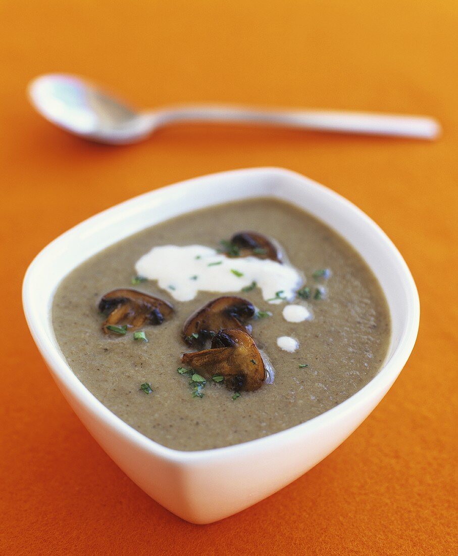 A bowl of mushroom soup