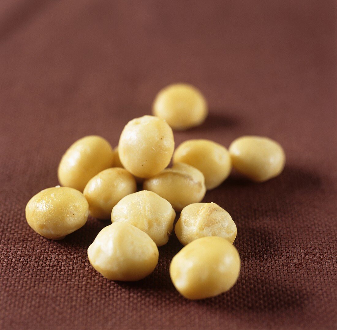 Macadamia nuts