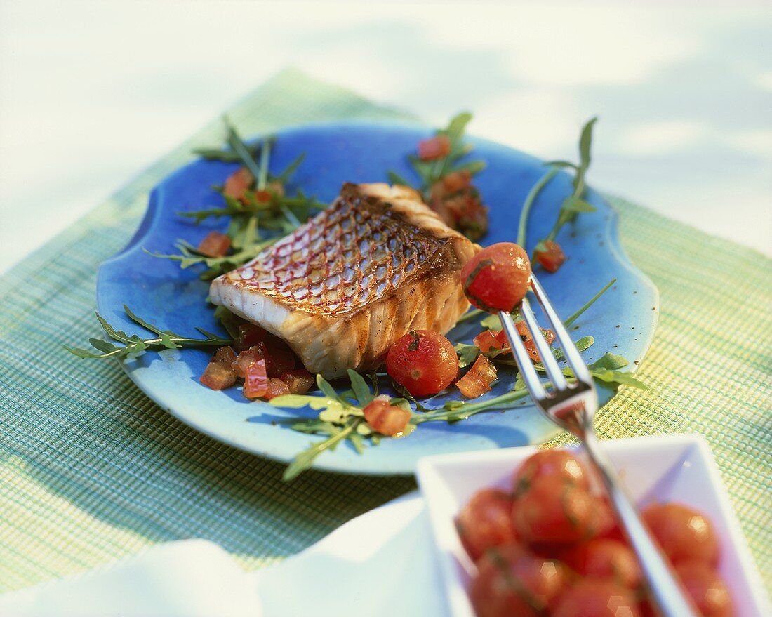 Gegrillter Red Snapper auf Tomaten-Rucolasalat