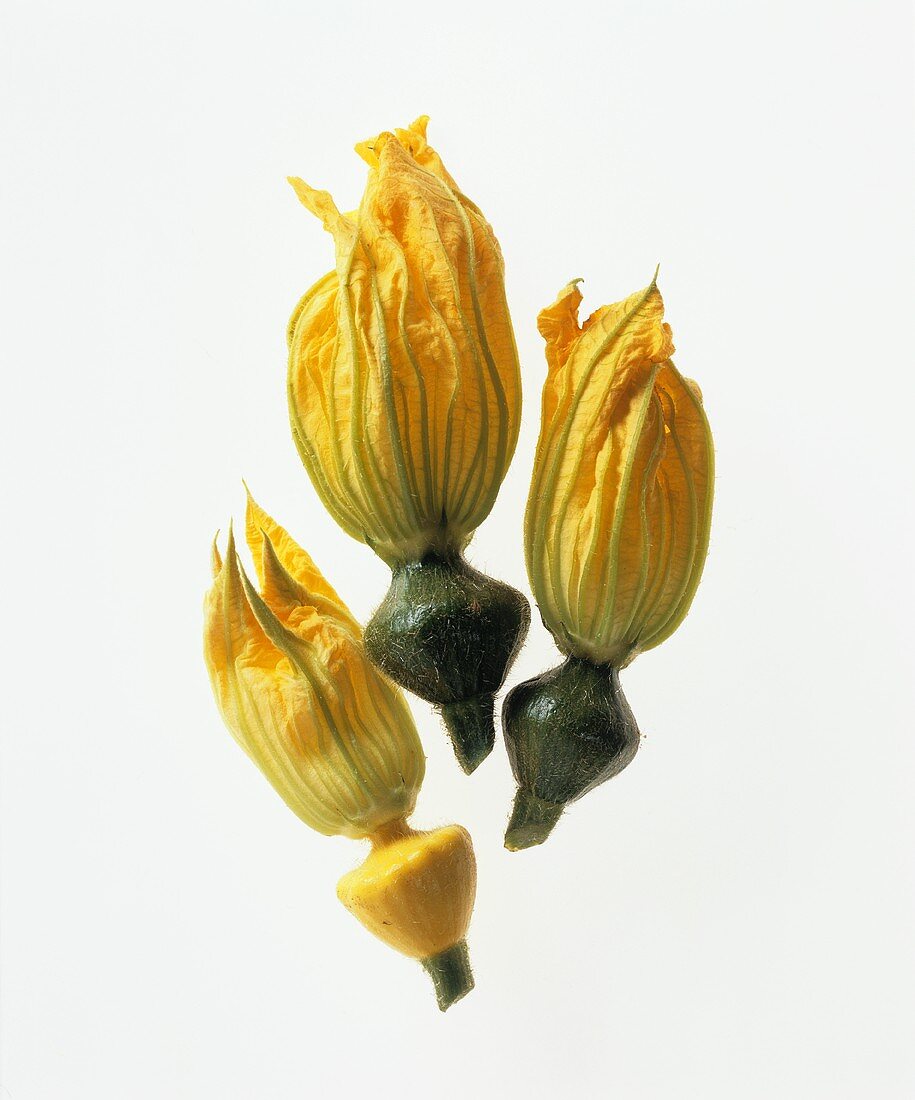 Three courgette flowers