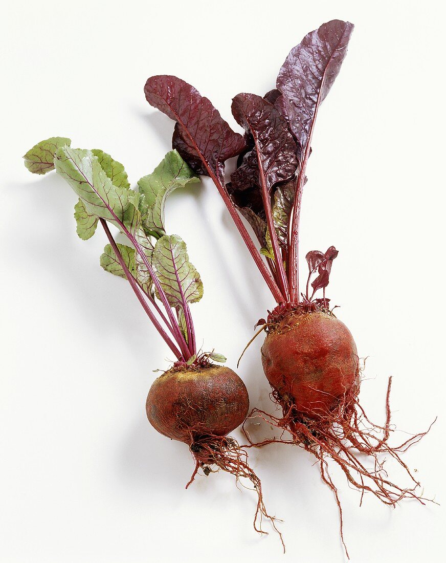 Two different varieties of beetroot