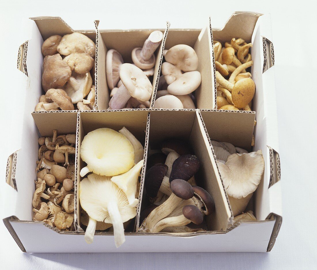 Assorted mushrooms in a cardboard box