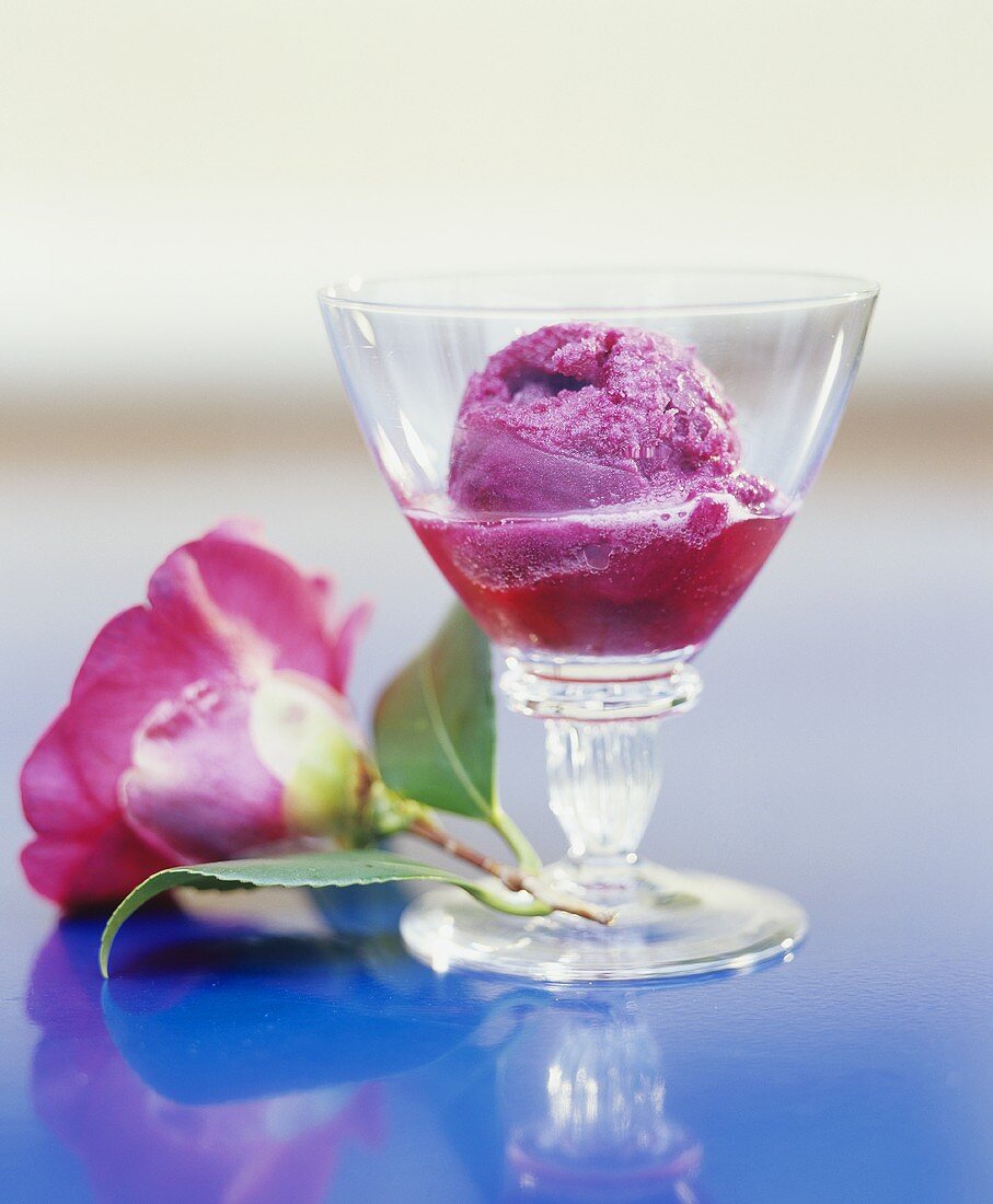 Rotes Traubensorbet