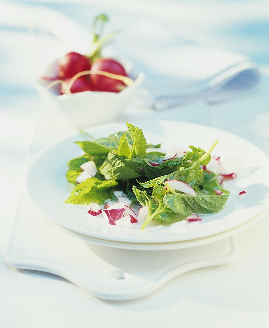 Ground elder leaf salad with radishes
