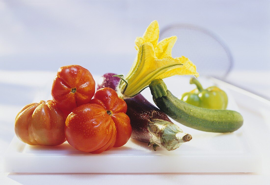 Gewaschene Tomaten, Zucchini mit Blüte und Aubergine