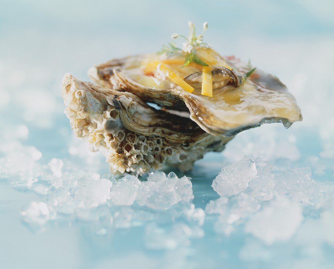 Oyster in vegetable jelly on crushed ice