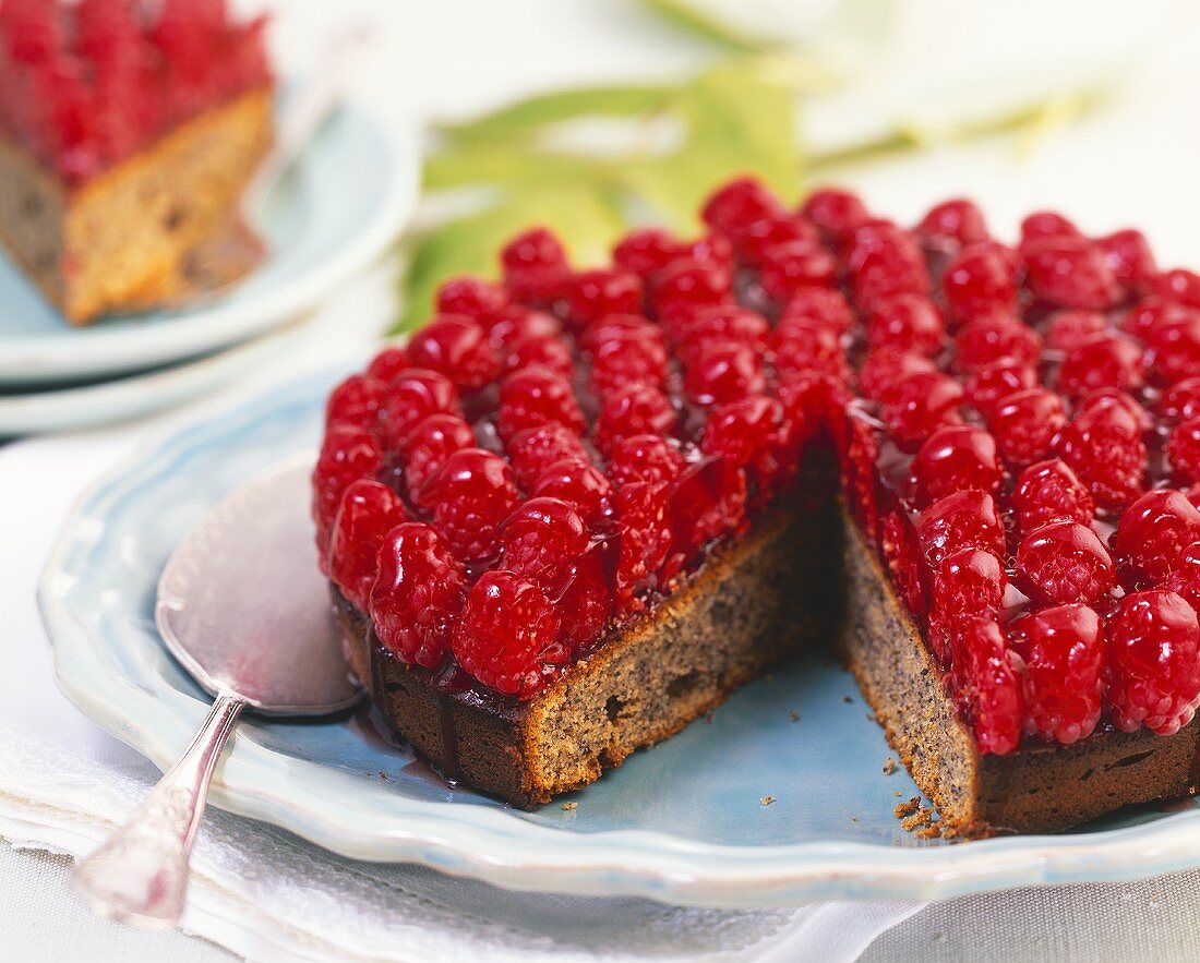 Poppy seed cake topped with raspberries