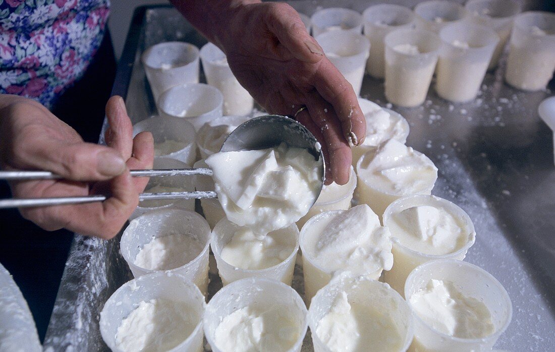 Woman making goat's cheese