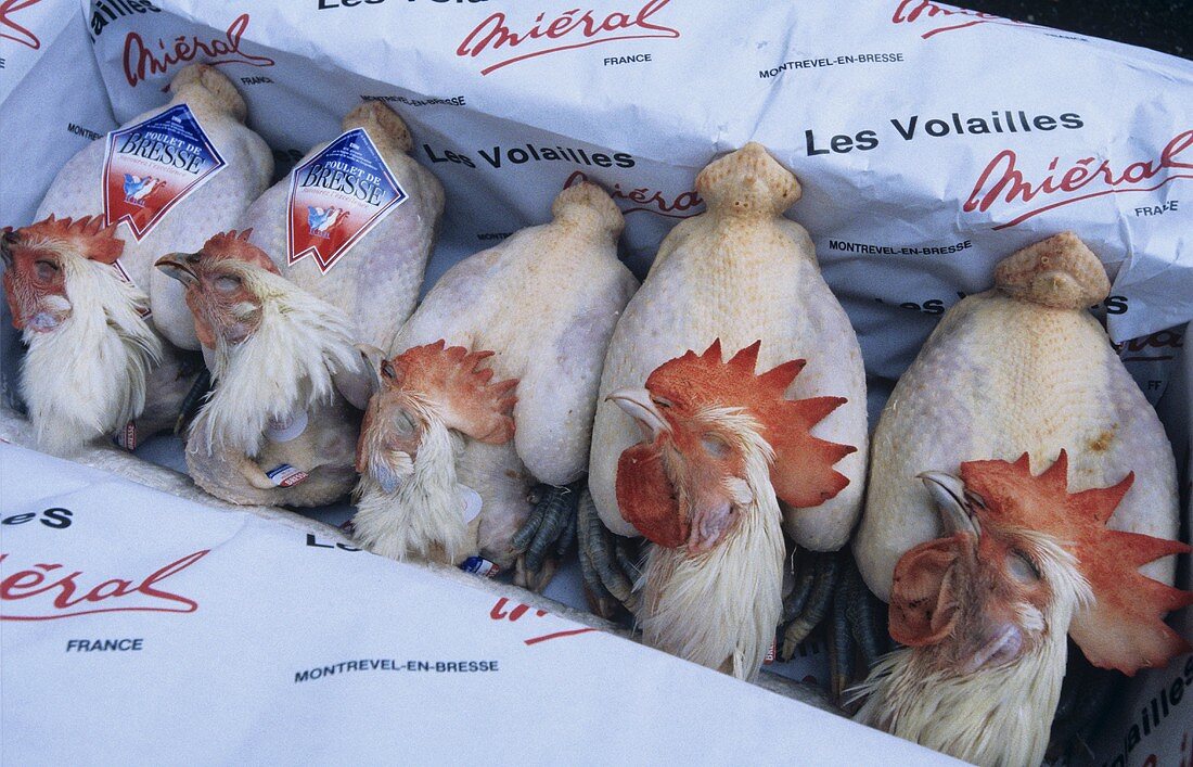 Bresse chickens with labels in cardboard box