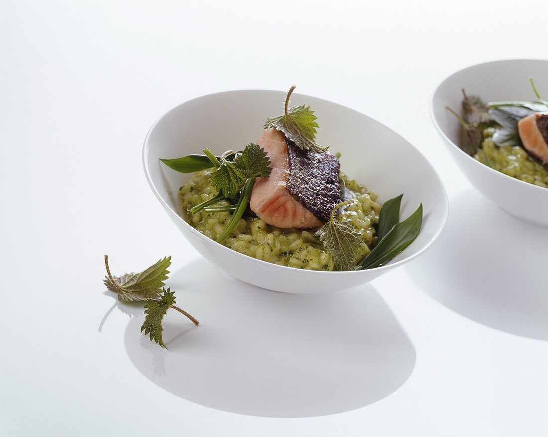 Herb risotto with fried salmon trout
