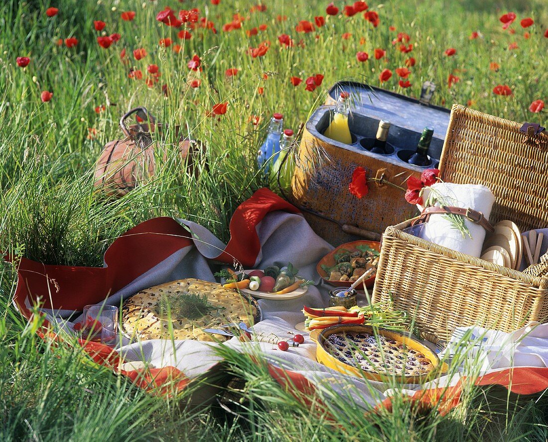 Picknick in einer blühenden Wiese mit Mohnblumen