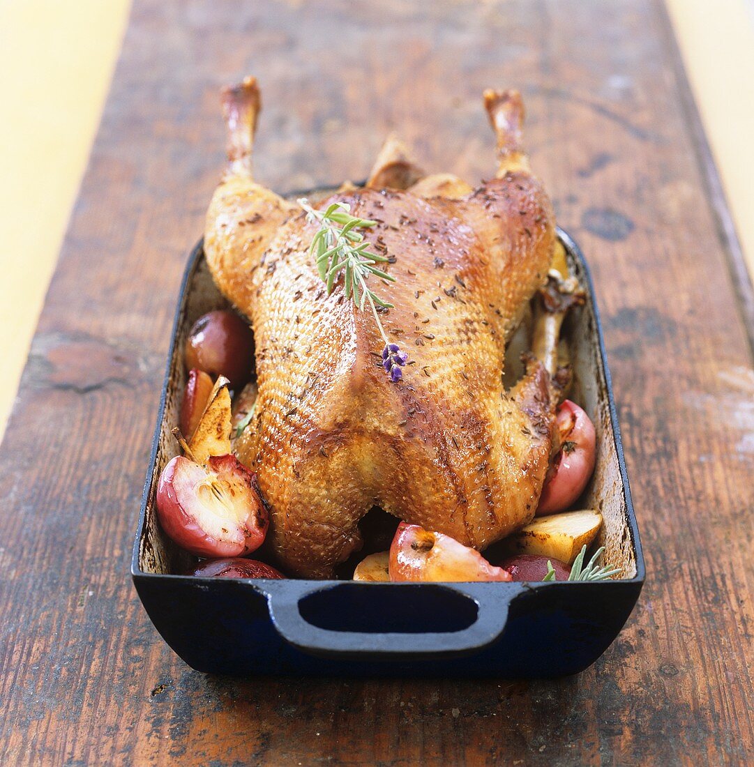 Duck in roasting dish with apples and rosemary