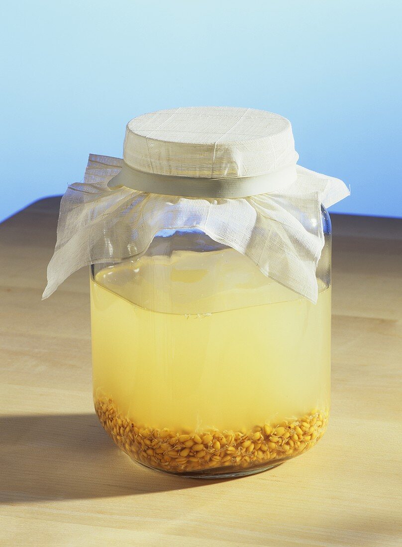 Rejuvelac (fermentierter Saft aus gekeimten Weizenkörnern)