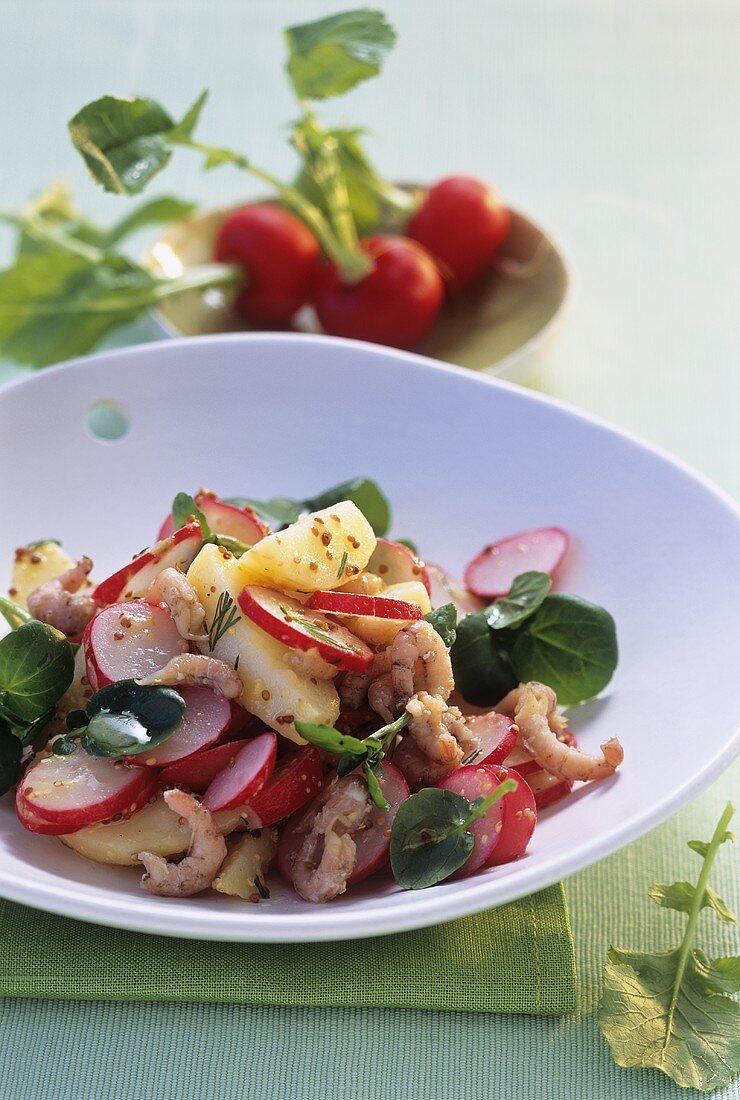 Radieschen-Kartoffelsalat mit Senf-Dressing