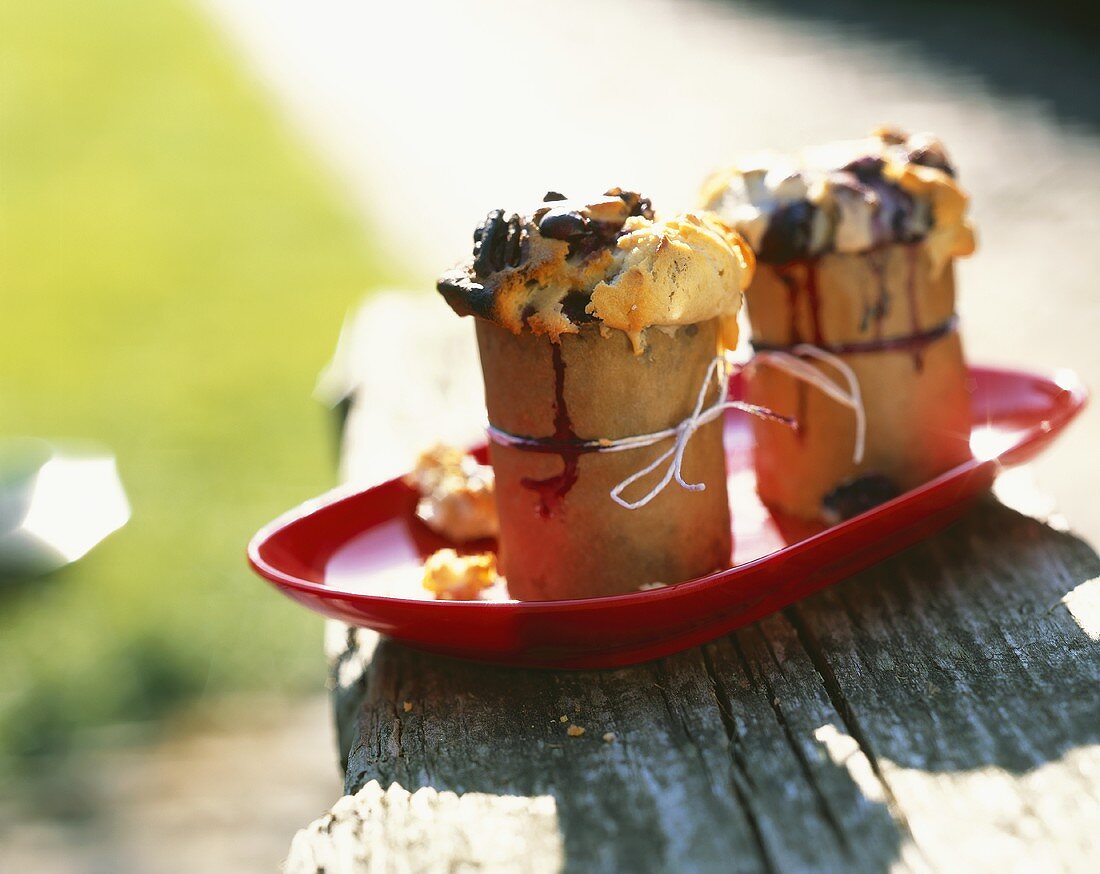 Blaubeer-Muffins mit Pecannüssen fürs Picknick