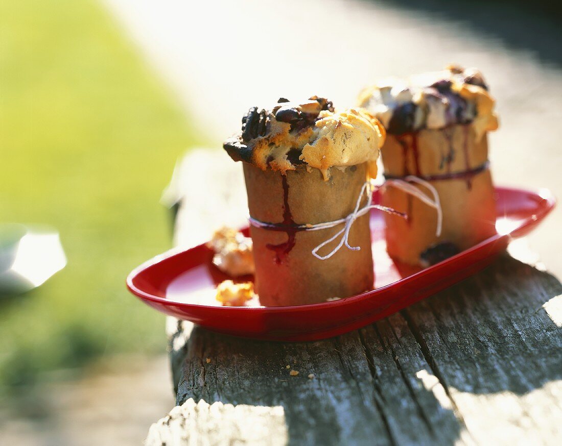 Blueberry and pecan muffins for a picnic