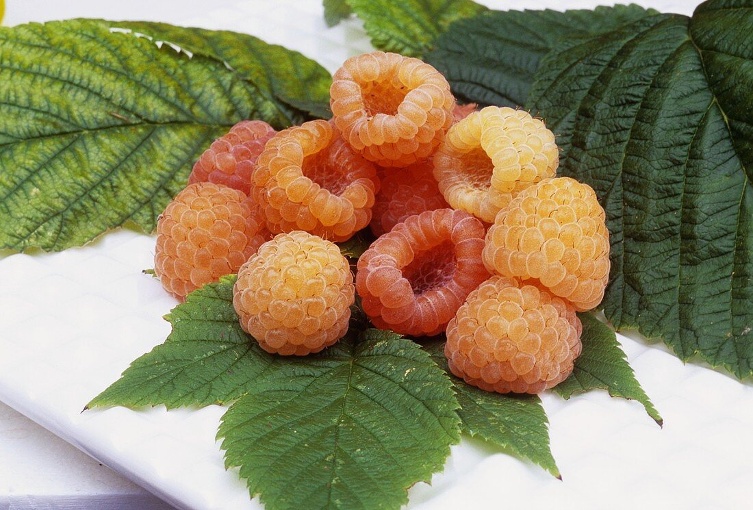 White raspberries with leaves