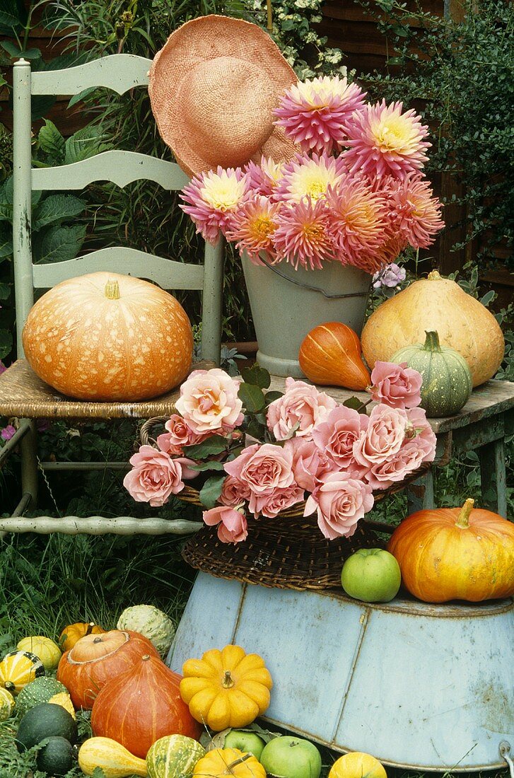 Herbst-Stillleben: Kürbisse, Rosen und Dahlien