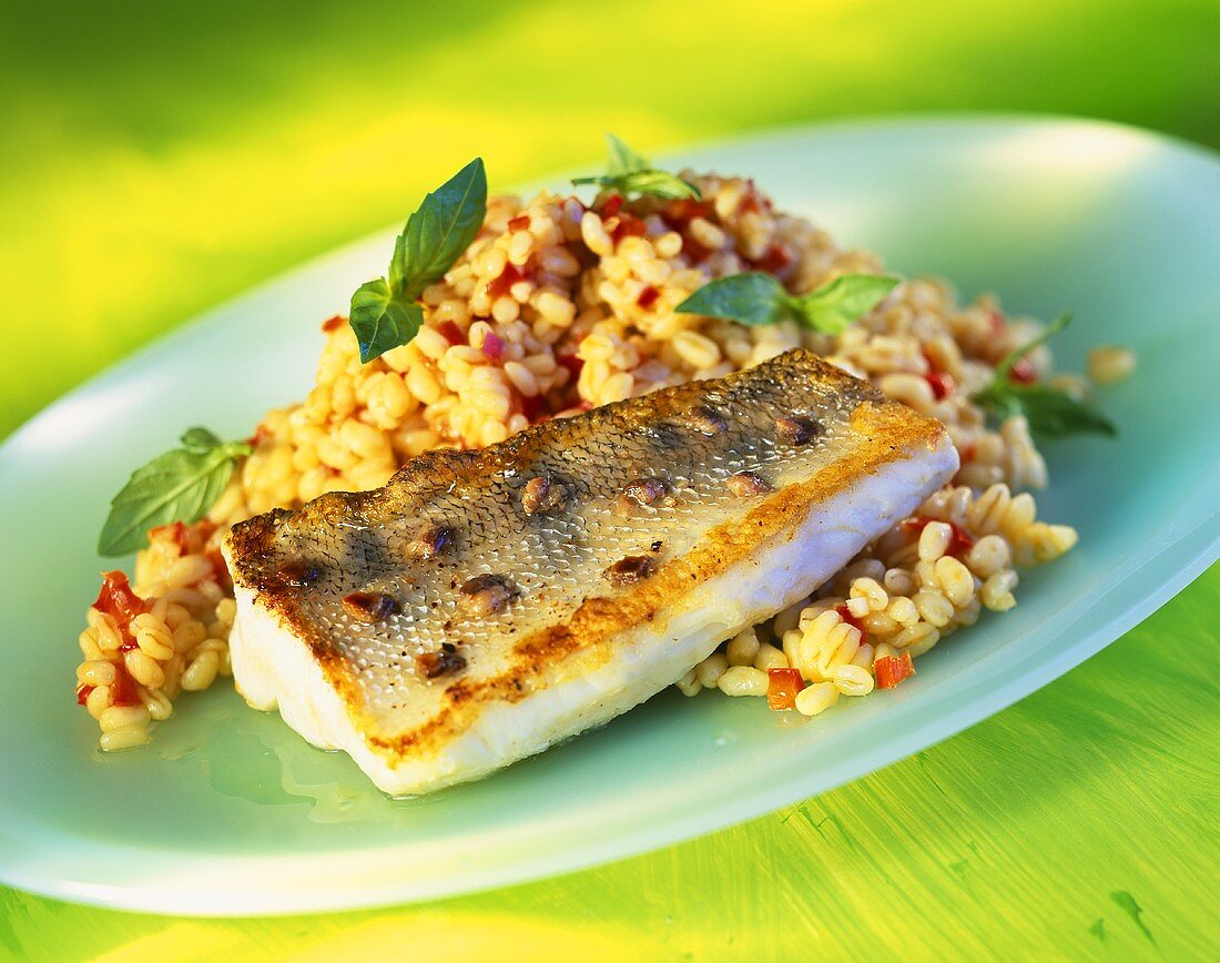 Fried zander with barley and pepper risotto
